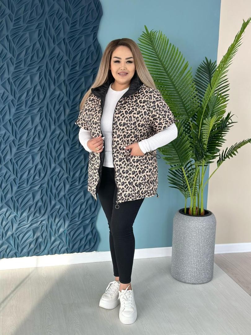 Безрукавка (rzd)