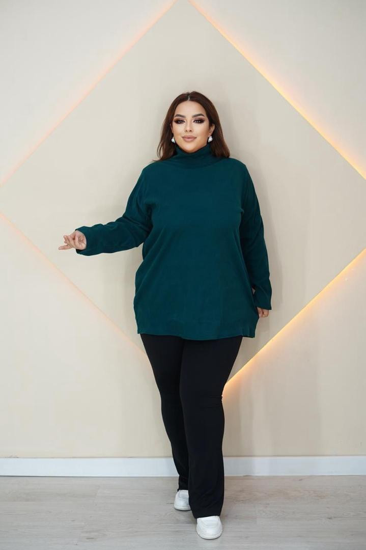 Водолазка (FM/CC42)